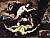 Ribera Jusepe de - Apollon et Marsyas.jpg Ribera Jusepe de - Apollon et Marsyas.jpg